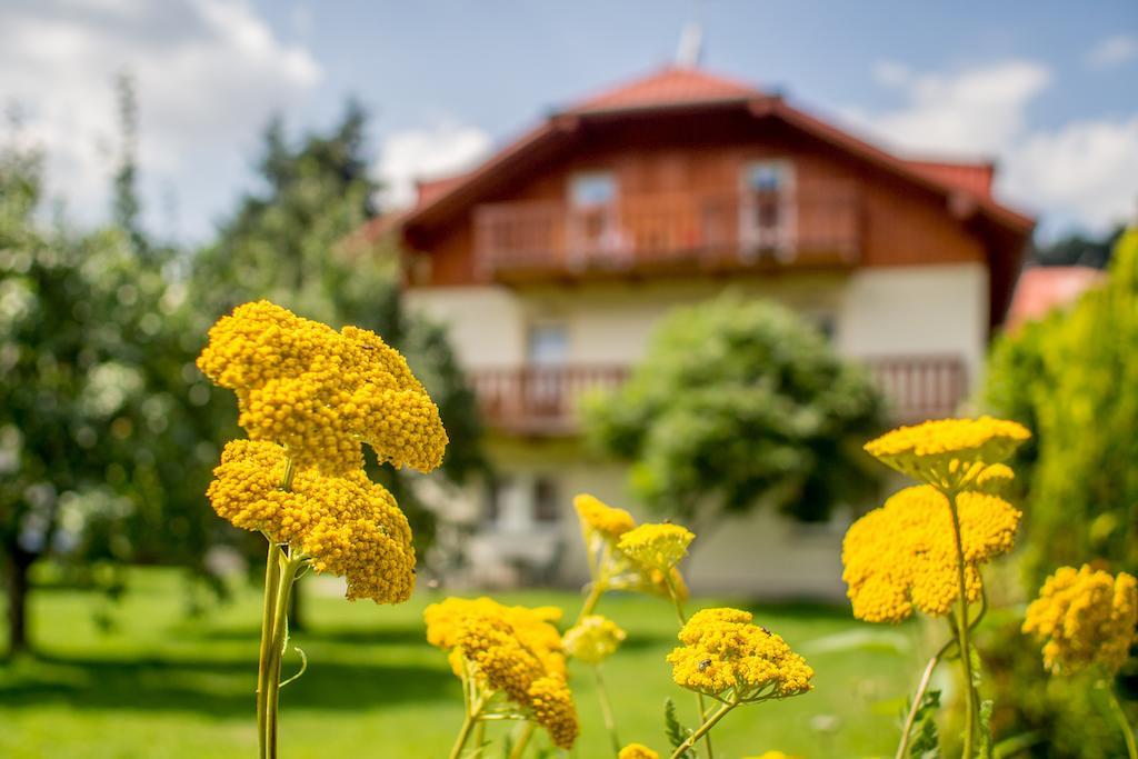 Pension Rieger Radosov Exterior photo